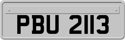 PBU2113