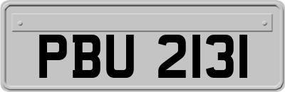 PBU2131