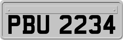 PBU2234