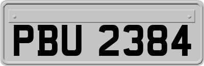 PBU2384