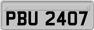 PBU2407