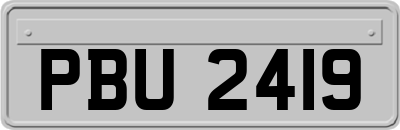 PBU2419