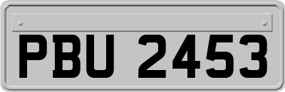 PBU2453