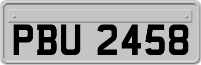 PBU2458