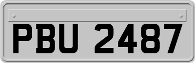 PBU2487