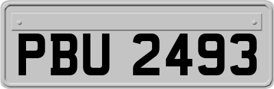 PBU2493