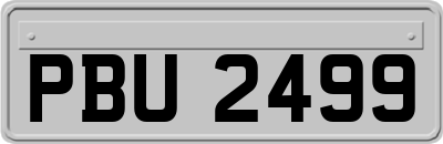 PBU2499