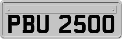 PBU2500