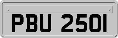 PBU2501