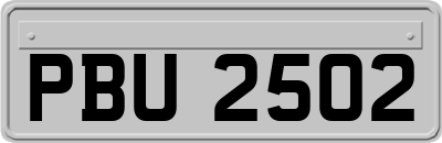 PBU2502