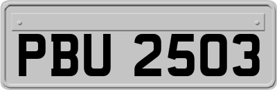 PBU2503