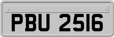 PBU2516