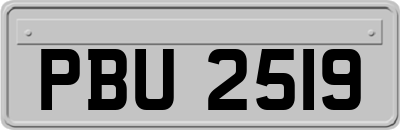 PBU2519