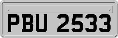 PBU2533