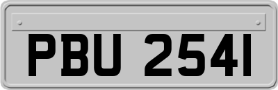 PBU2541