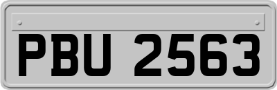 PBU2563