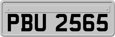 PBU2565