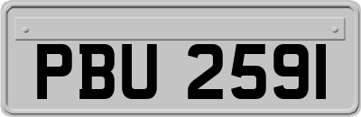 PBU2591