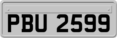 PBU2599