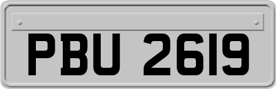 PBU2619