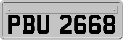 PBU2668