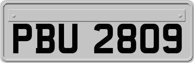 PBU2809