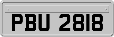 PBU2818