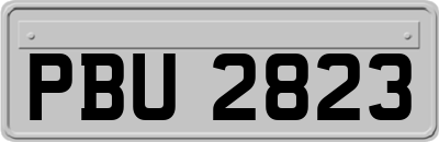 PBU2823