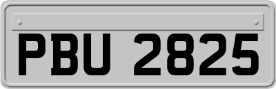 PBU2825