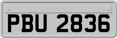 PBU2836