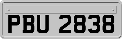 PBU2838