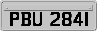 PBU2841