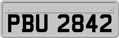 PBU2842