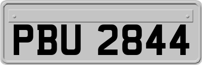 PBU2844