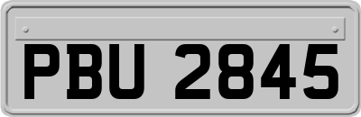 PBU2845