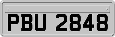 PBU2848