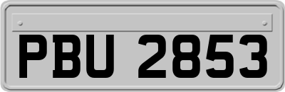 PBU2853