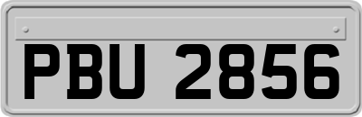 PBU2856