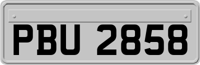 PBU2858