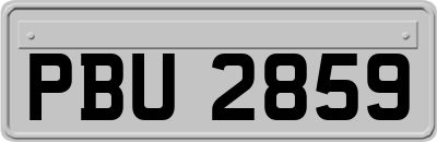 PBU2859