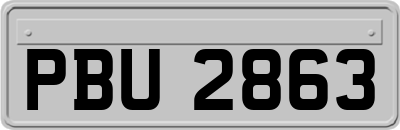 PBU2863