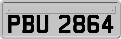 PBU2864