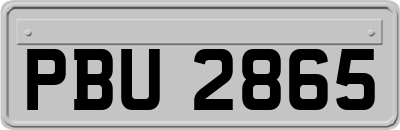 PBU2865