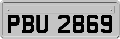 PBU2869