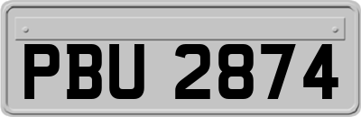 PBU2874