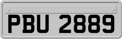 PBU2889