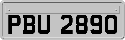 PBU2890