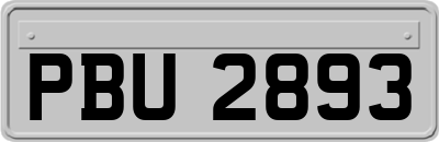 PBU2893