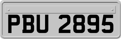 PBU2895