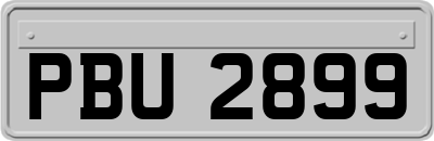 PBU2899